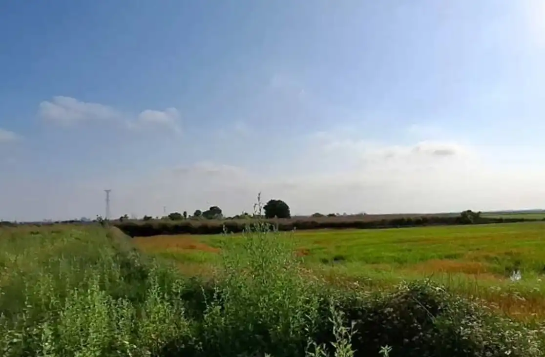 Rural land for sale in Silla, imagen 5