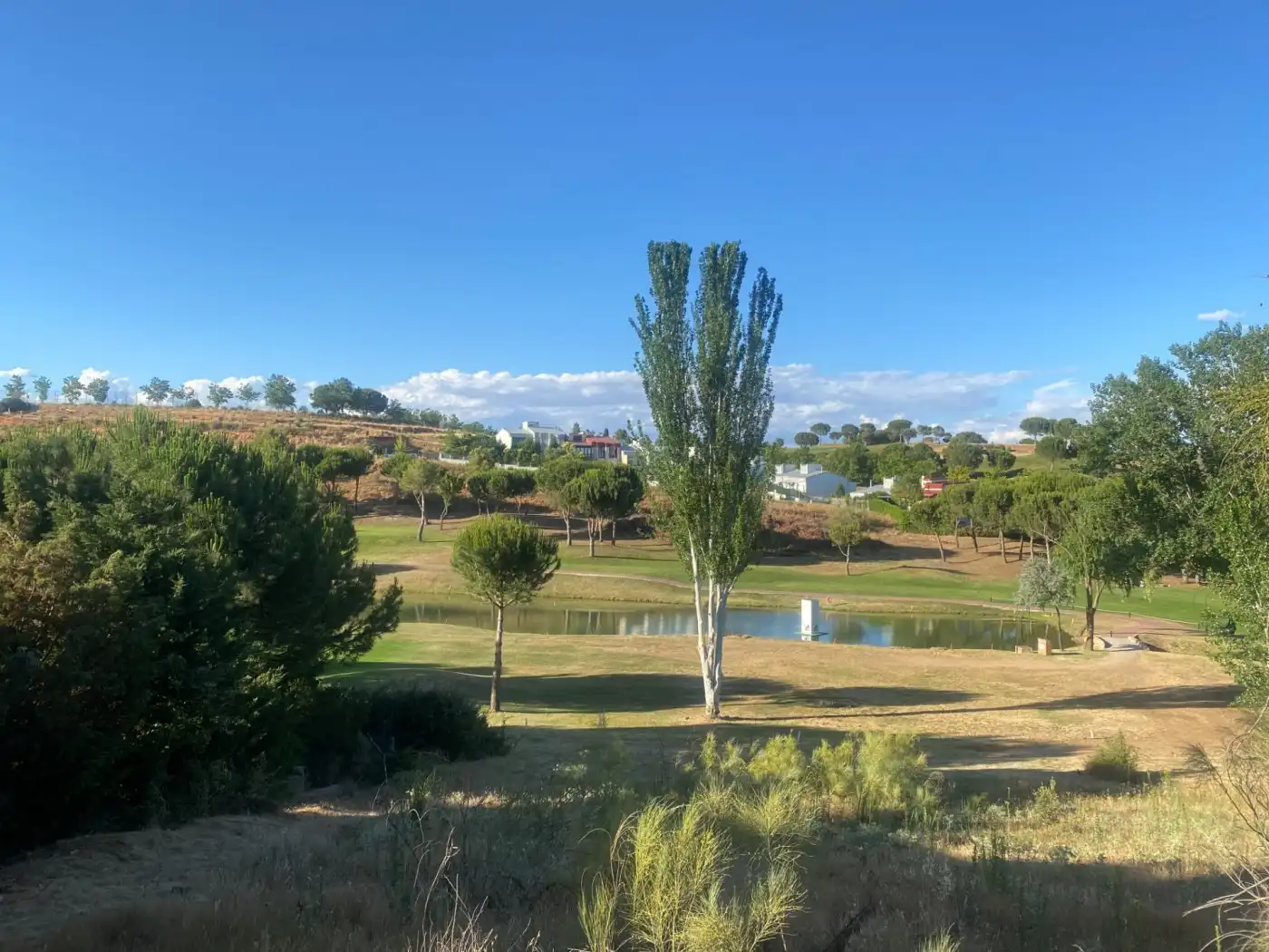 Terreny residencial en venda a Cabanillas del Campo, imagen 7