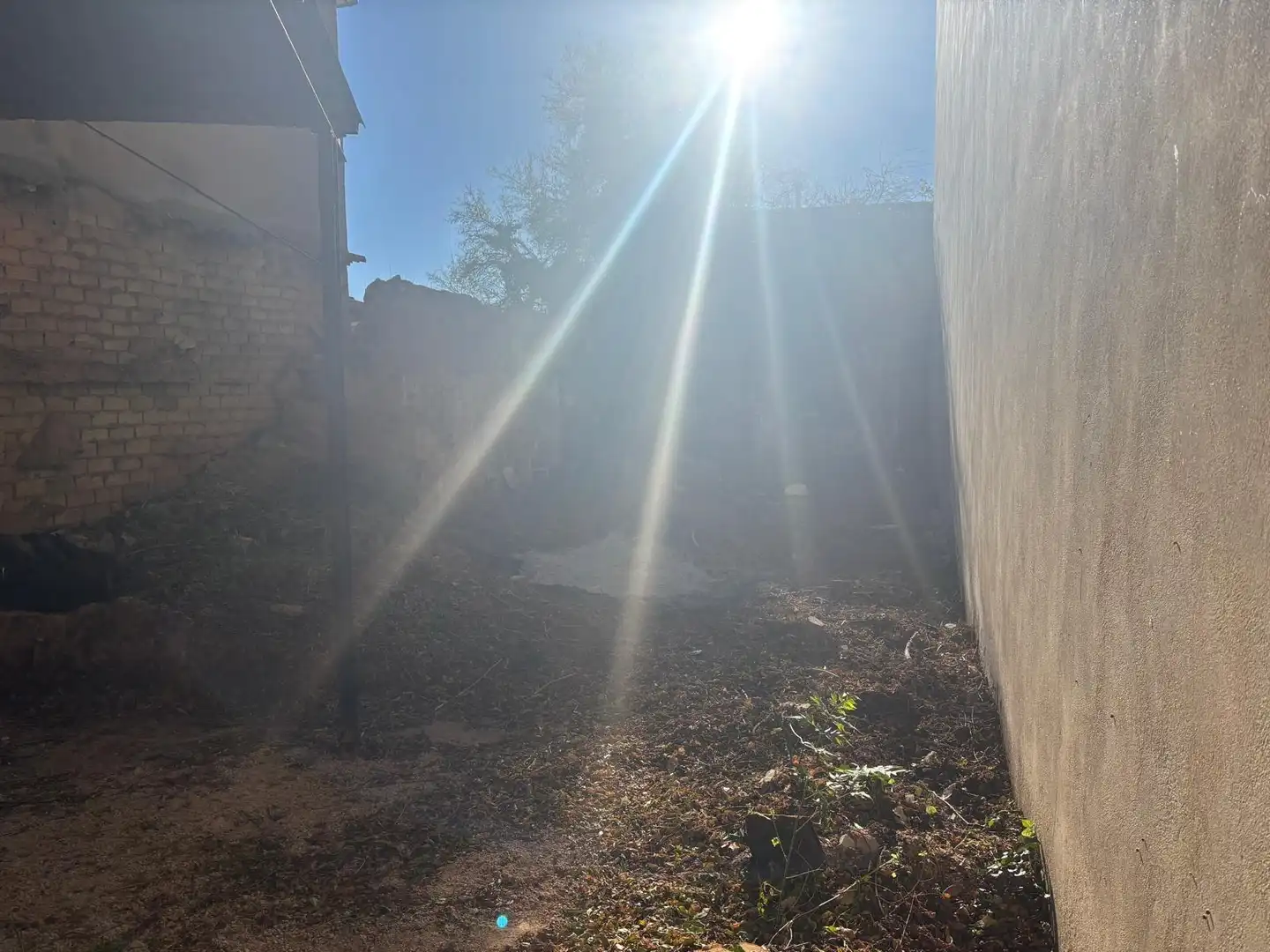 Garden of Residential for sale in Utiel
