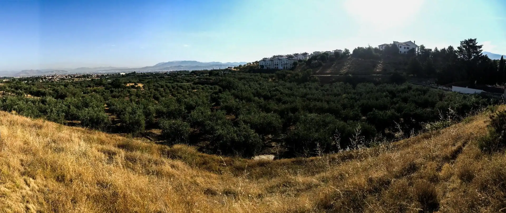 Terreno rustico in vendita a Urbanizacion PAGO VIÑA DEL REY, imagen 21