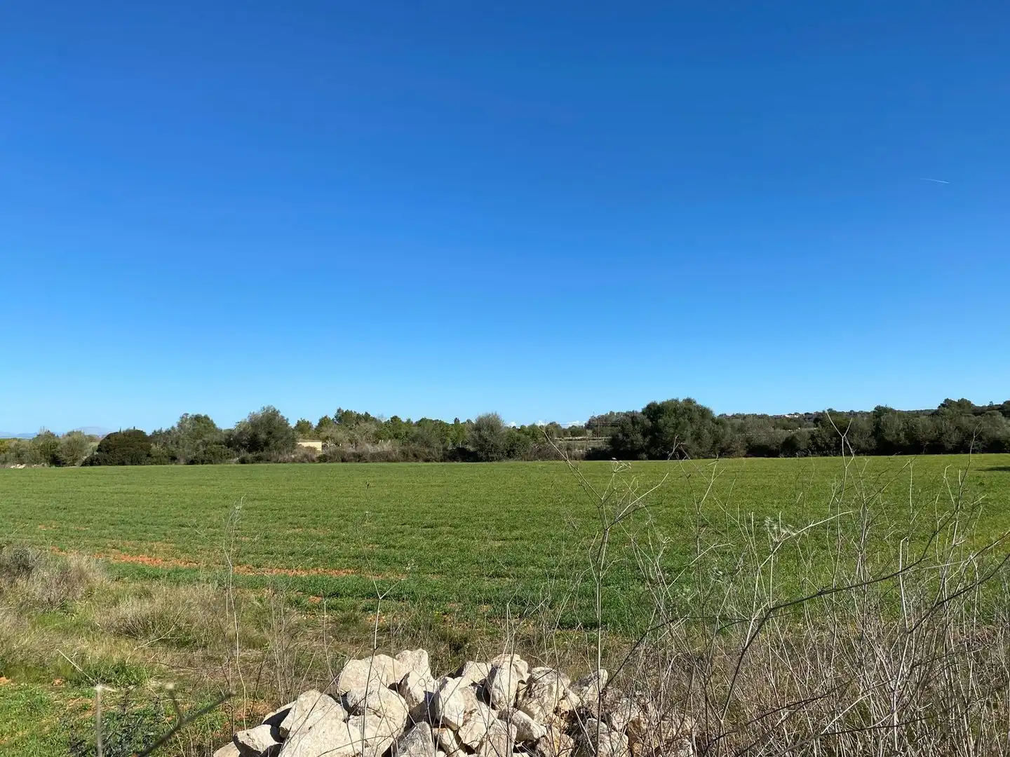 Residencial en venta en Felanitx Poble