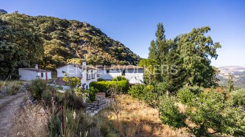 Foto 2 de Finca rústica en venda a Grazalema, Cádiz
