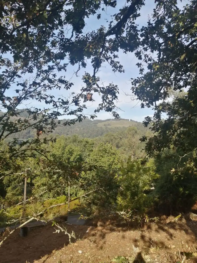 Finca rústica en venta en Ponteareas