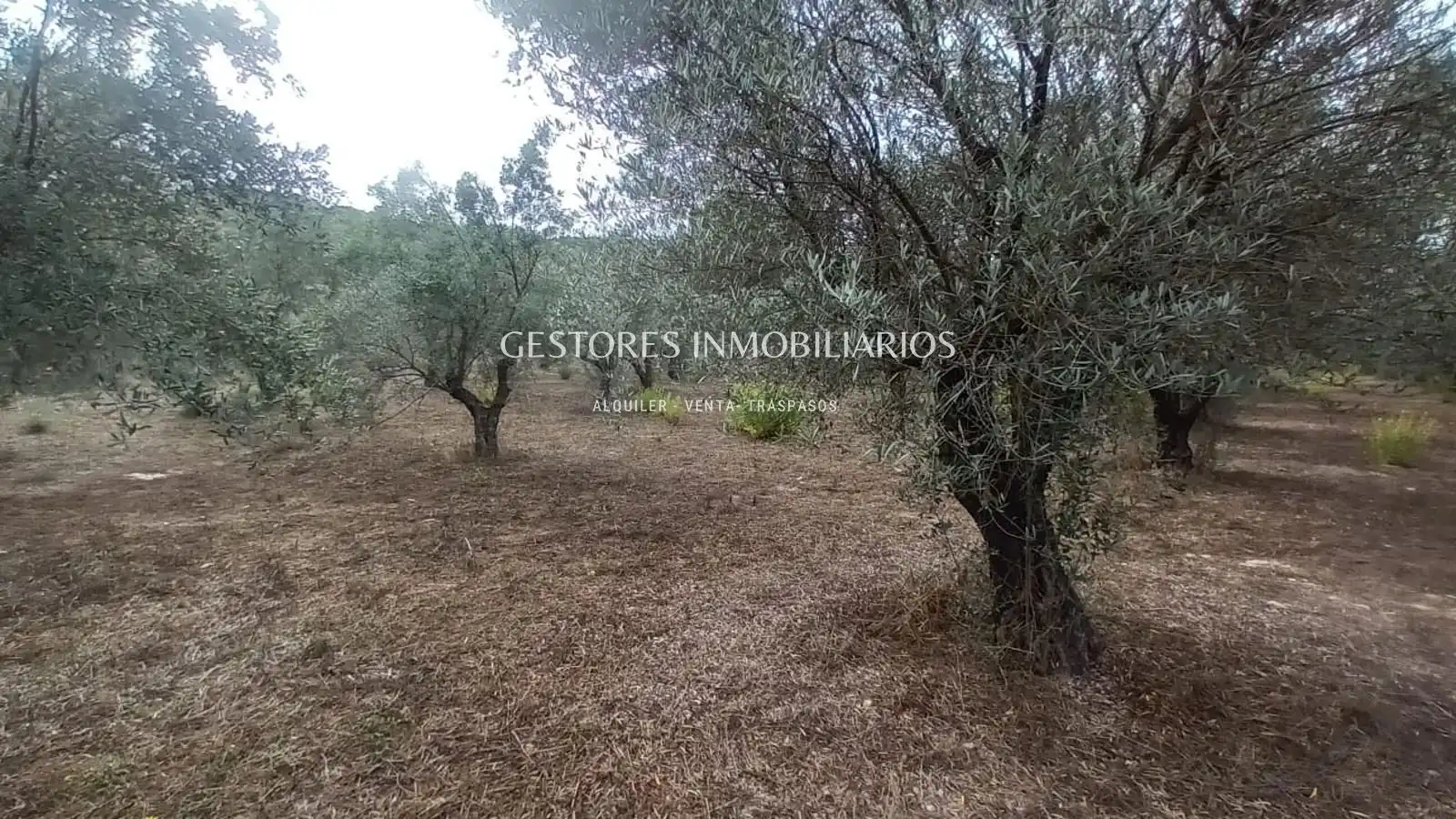 Casa o xalet en venda en Alcoy / Alcoi amb Calefacció