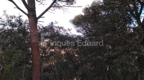 Fantàstica parcel.la de 1068m2 situada en l' urbanització de Can Raimí (Argentona) amb espectaculars vistes al Montseny., imatge 2