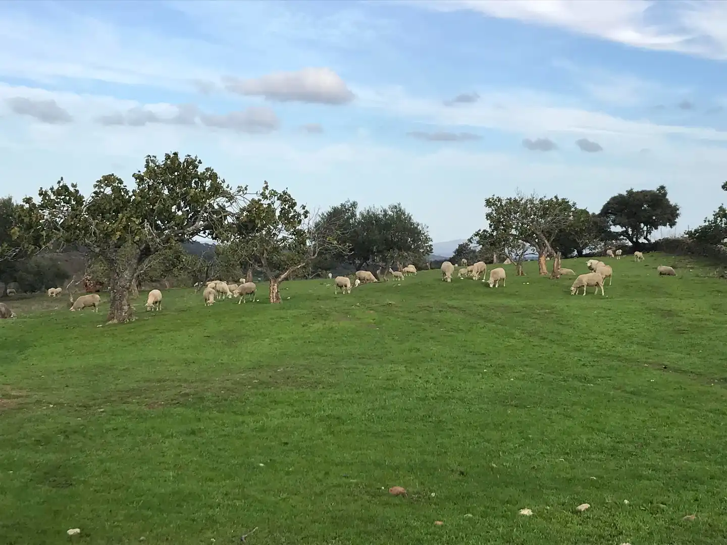 Grundstücke zum Verkauf in Sancti-Spíritus (Salamanca)