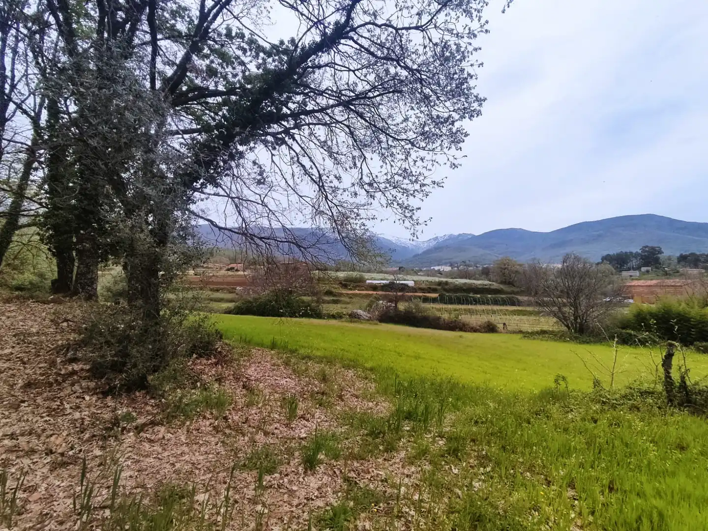 Terreni e lotti in vendita a Jarandilla de la Vera, imagen 15