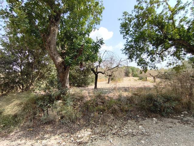 Terreno en Venta en Sant Joan