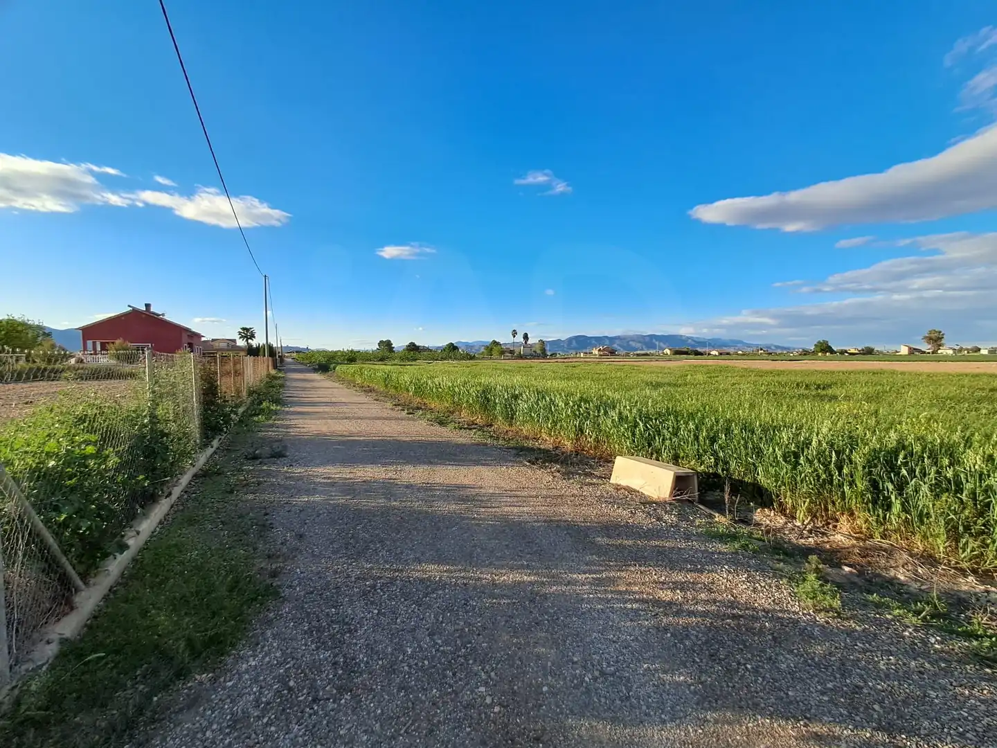 Terrenos y solares en venta en Lorca Ciudad, imagen 12