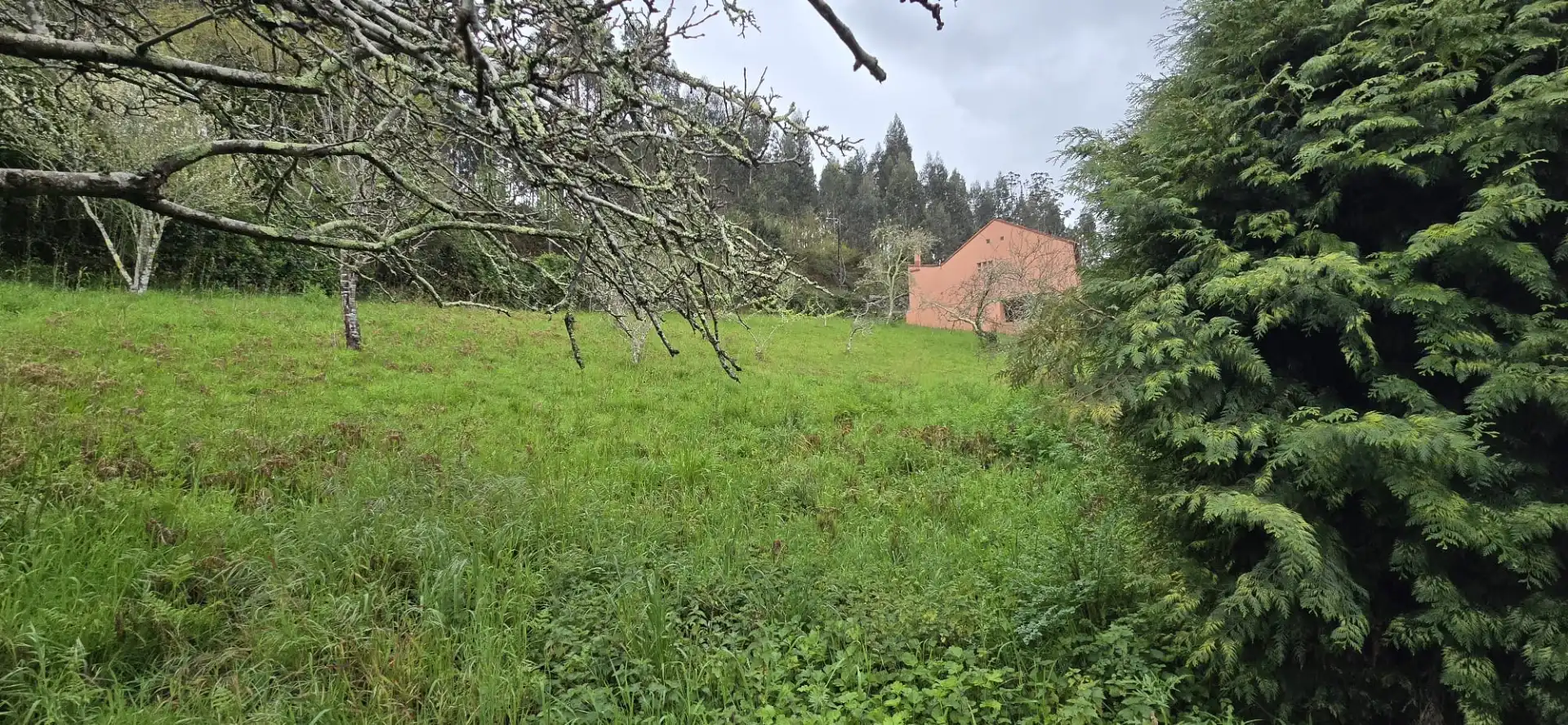 Residencial en venda en Bergondo