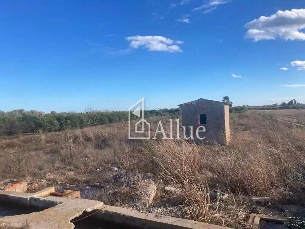 Finca rústica en venda en Burriana / Borriana
