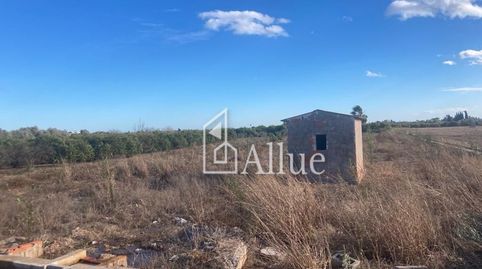 Foto 3 de Finca rústica en venda a Camino Ballester, Partida Caramit,poligono 3, 103, Piscinas, Burriana / Borriana