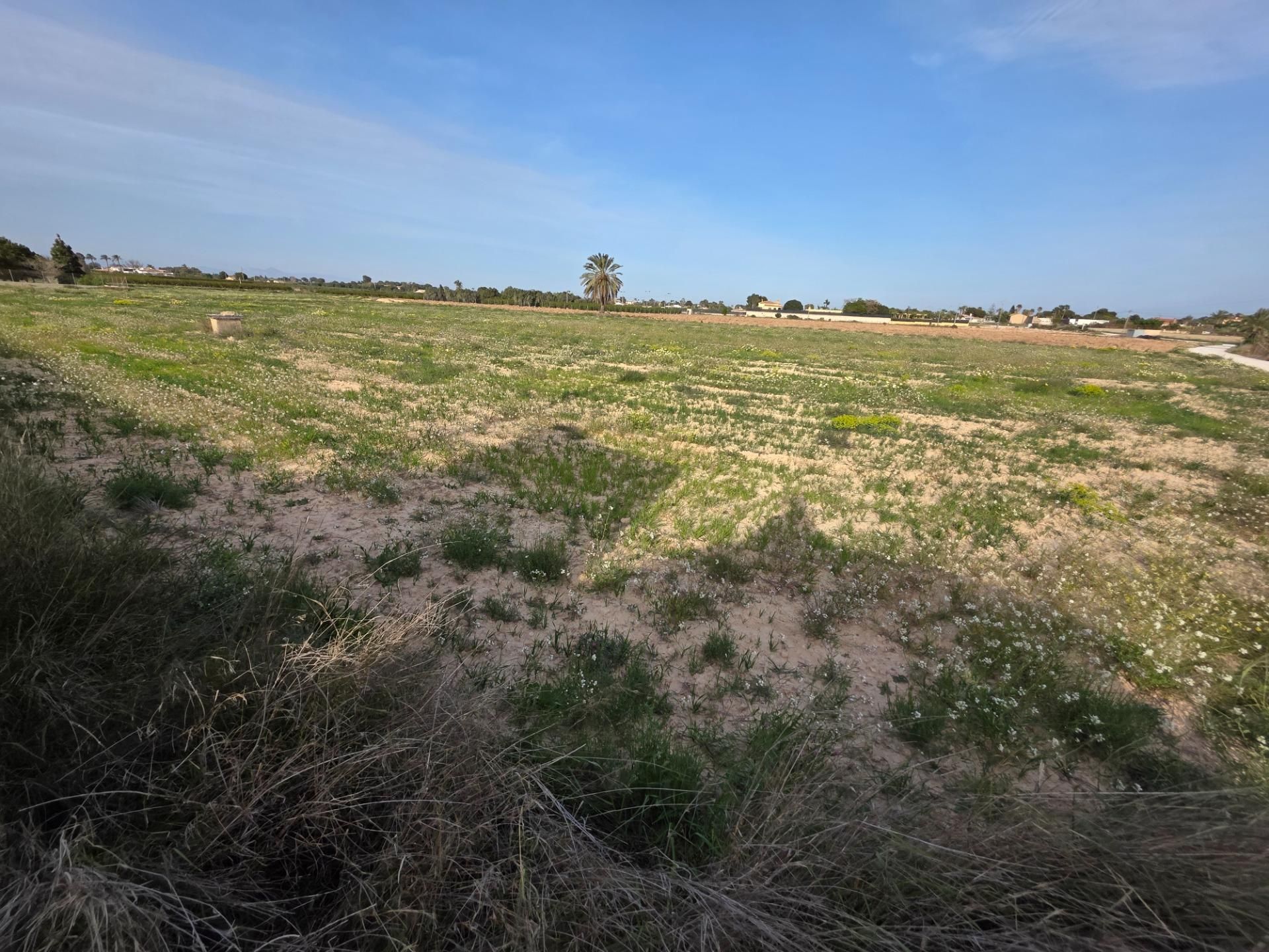 Finca rústica en venda en Elche / Elx amb Jardí privat