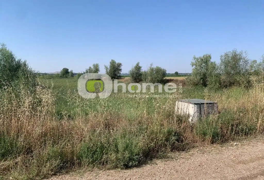 Terrain rustique à vendre à Coreses, imagen 5