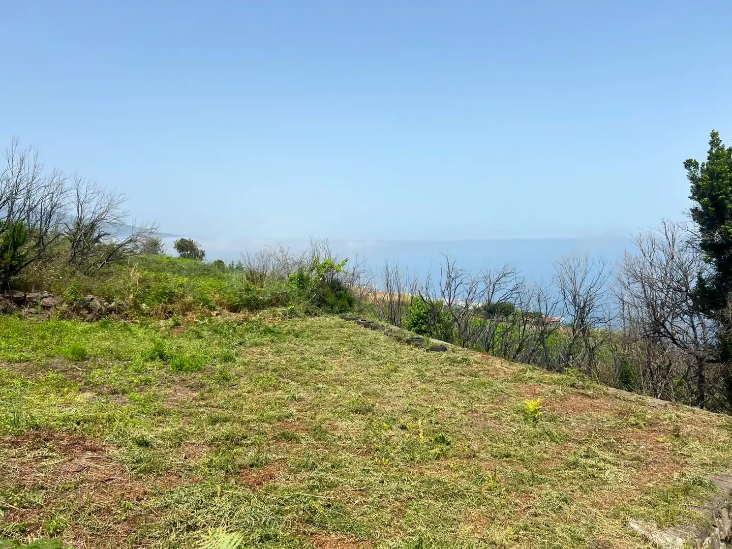 Terreno rústico en venta en Carretera Nueva Corujera, imagen 22