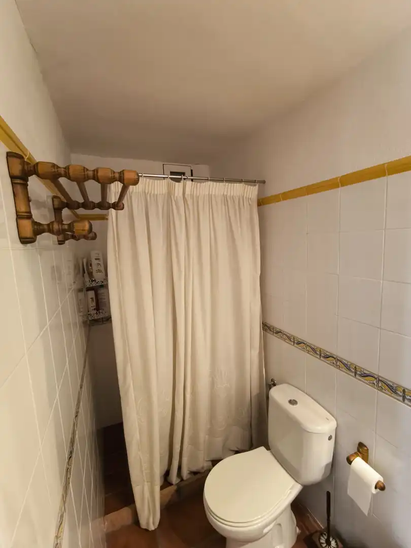 Bany de Casa o xalet en venda en Baños de la Encina amb Aire condicionat, Jardí privat i Terrassa