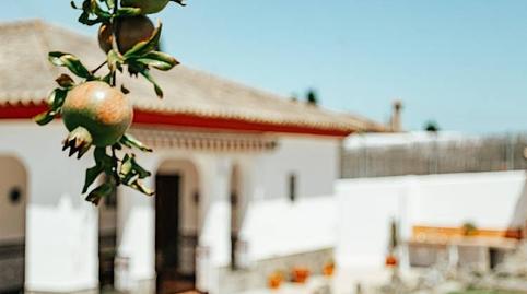 Photo 5 of House or chalet to rent in Carril el Mudito, 8, Conil, Conil de la Frontera