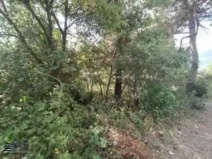 Residential land for sale in Avinguda Joan Miró 89, imagen 8