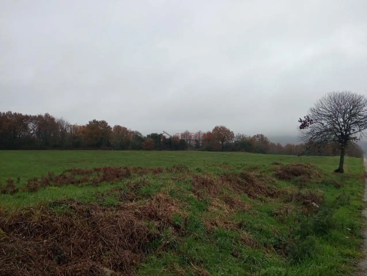 Finca rústica en venda en Xunqueira de Espadanedo amb Calefacció, Jardí privat i Terrassa