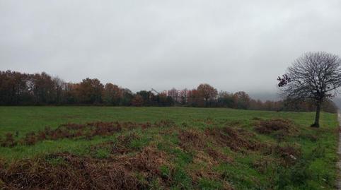 Foto 4 de Finca rústica en venda a Xunqueira de Espadanedo, Ourense