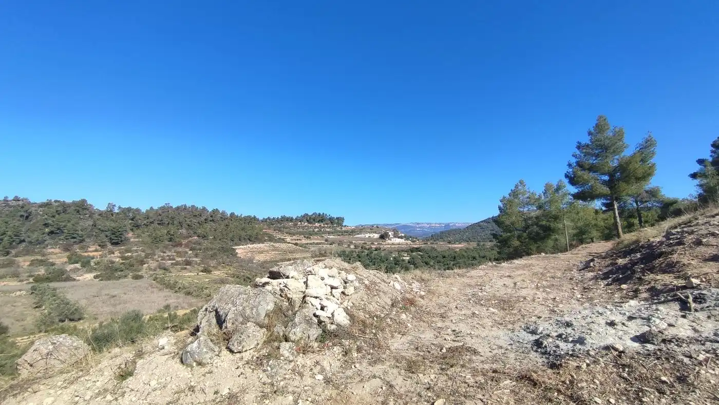Rural land for sale in Carrer de les Pinyeres 24, imagen 5