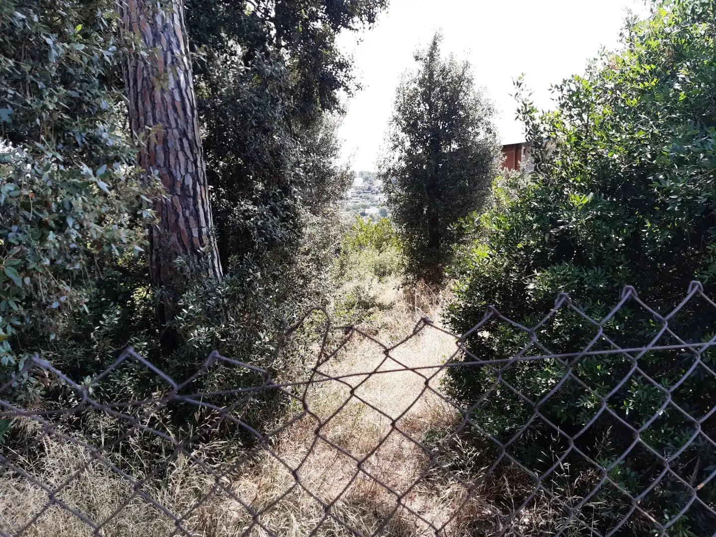Terrenos y solares en venta en La Serreta, imagen 12