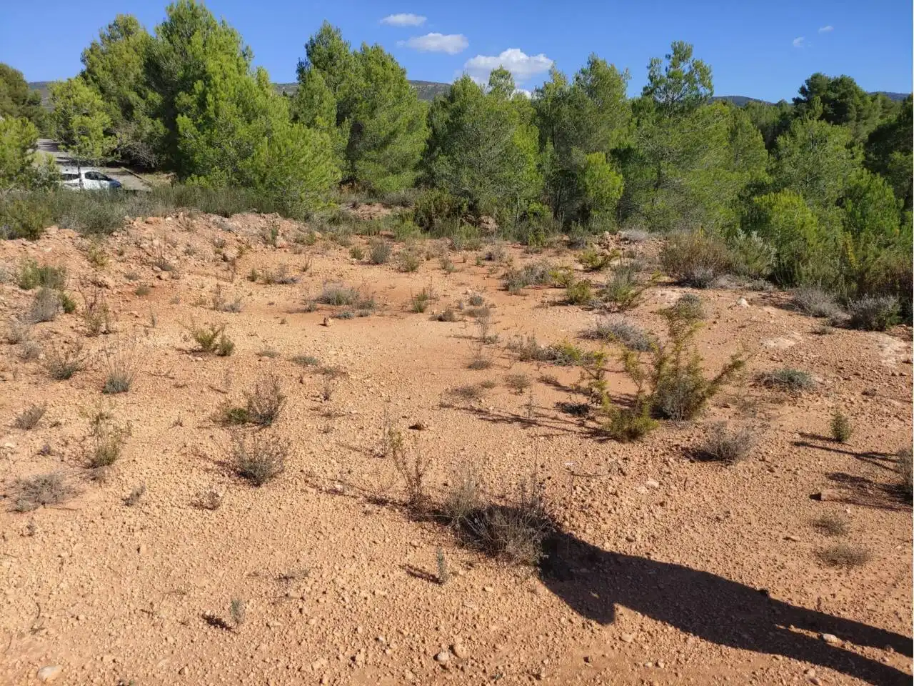 Rural land for sale in Calle Zamora, imagen 3