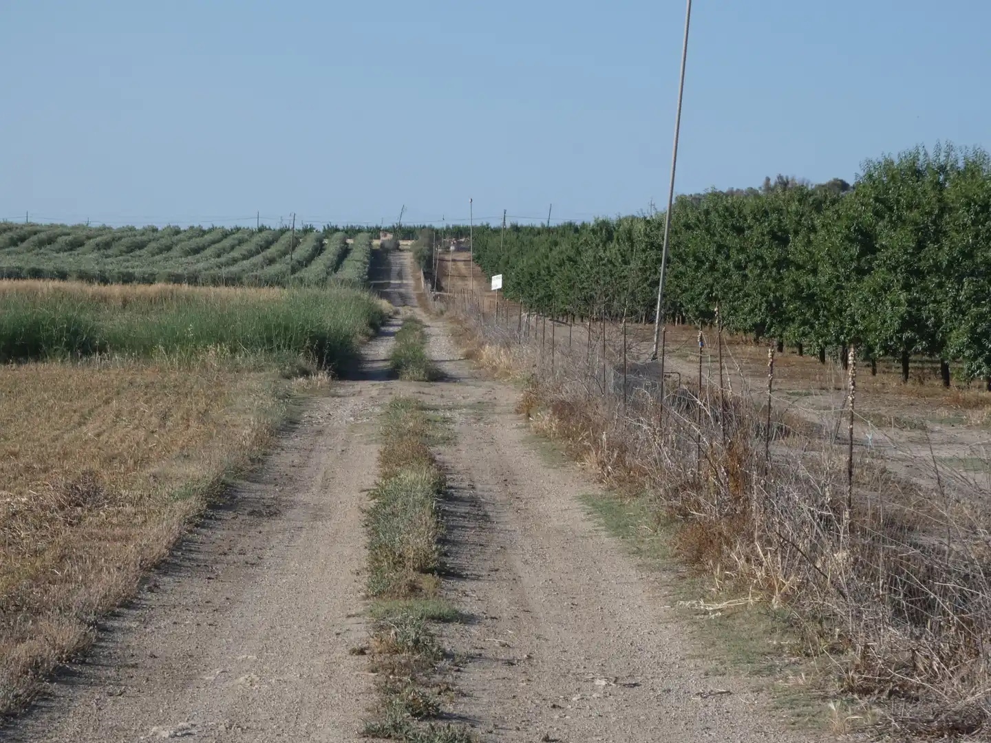 Terreno rustico in vendita a Vilafranca de Bonany, imagen 8