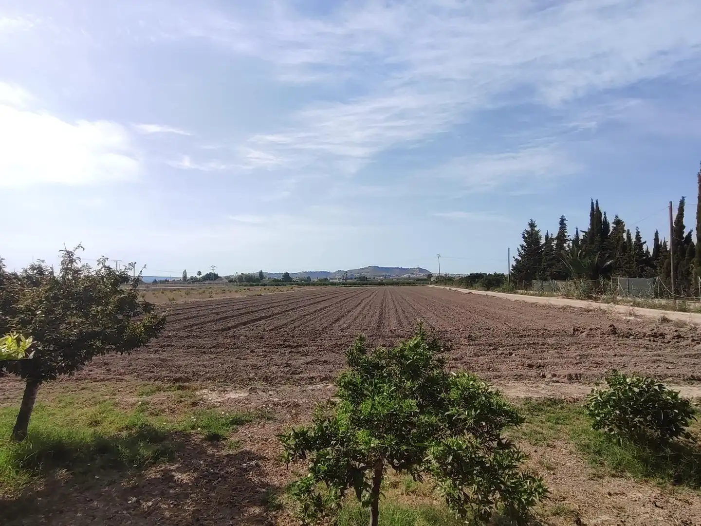 Chalet con piscina en venta en Daya Vieja, imagen 48