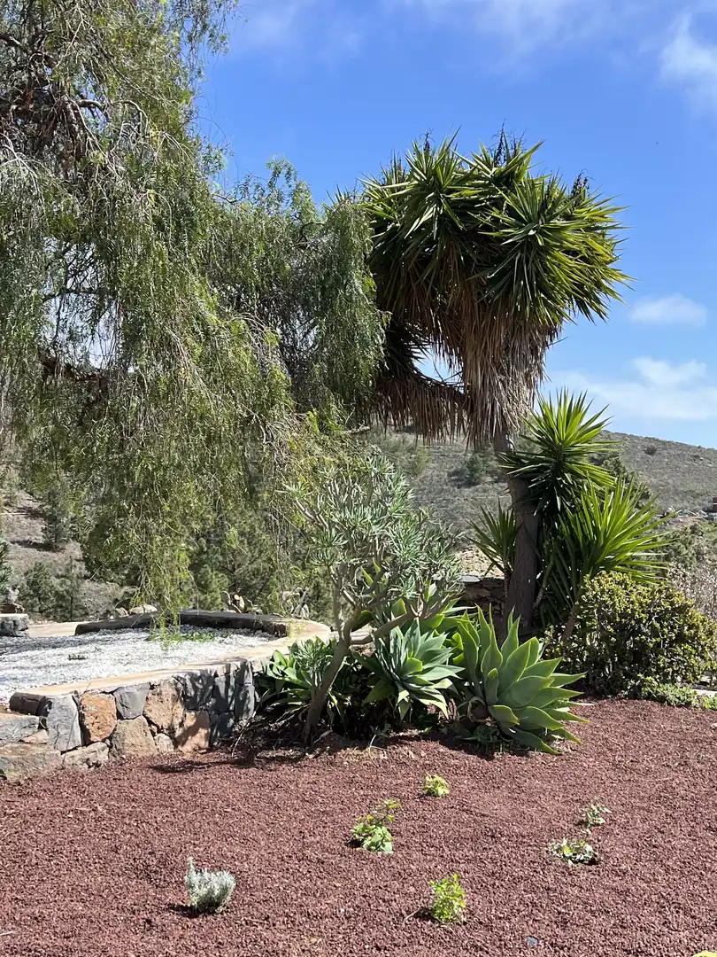 Garten von Haus oder Chalet zur Miete in Adeje mit Klimaanlage, Privatgarten und Terrasse