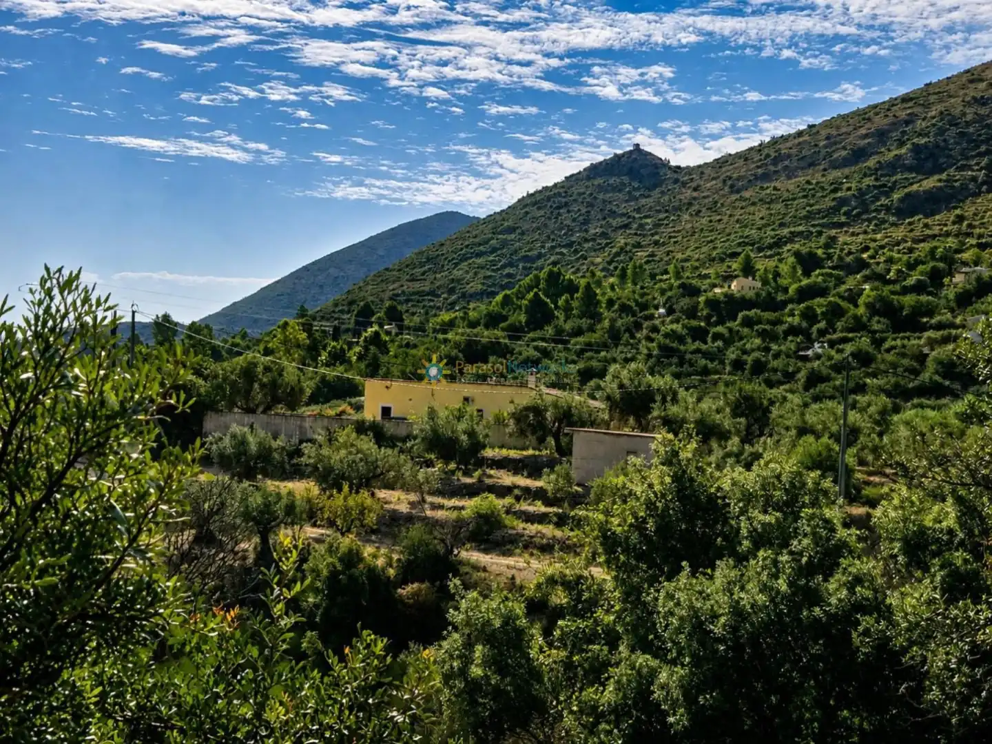 Terreno rustico in vendita a L'Atzúbia, imagen 2