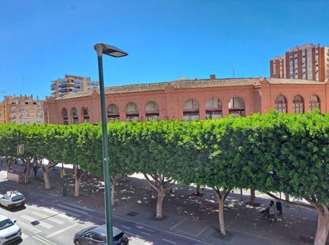 Piso en Alquiler en reding en La Malagueta - Monte Sancha