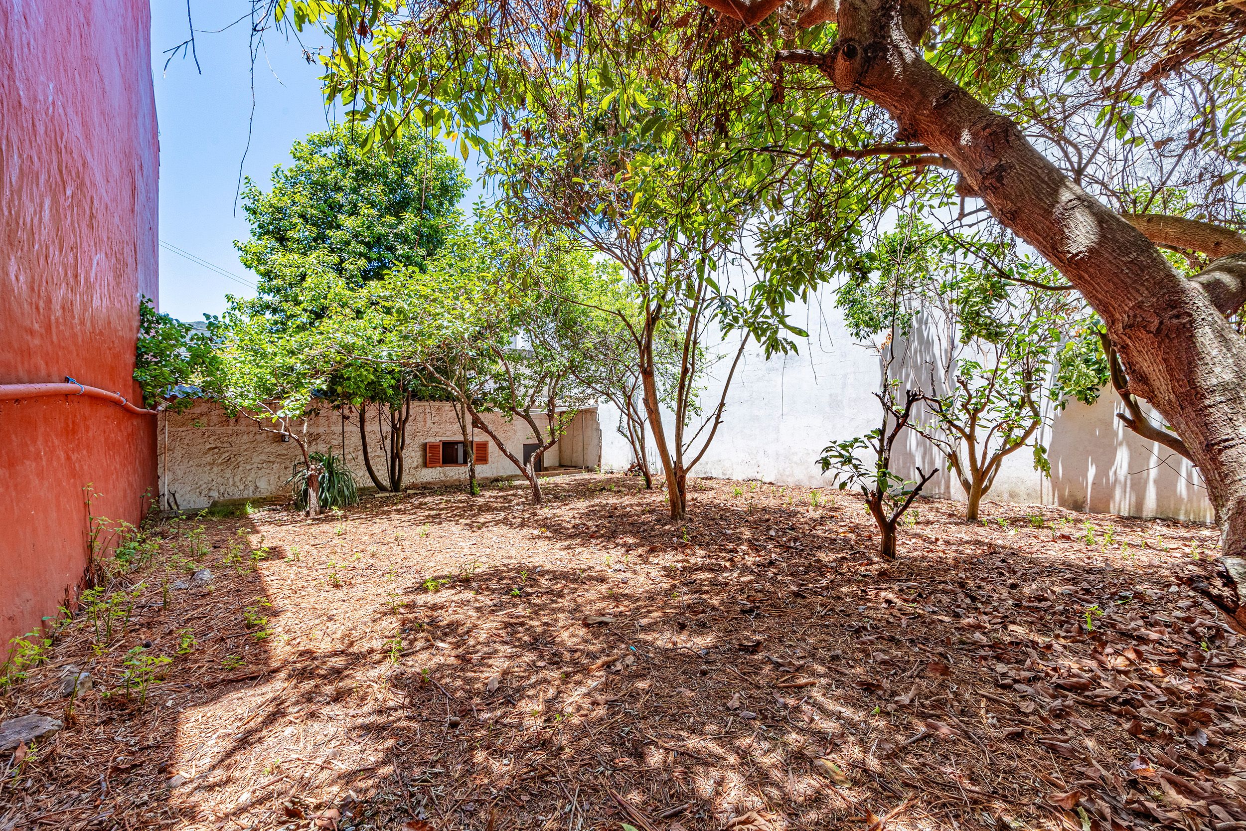 Garden of House or chalet for sale in Teror