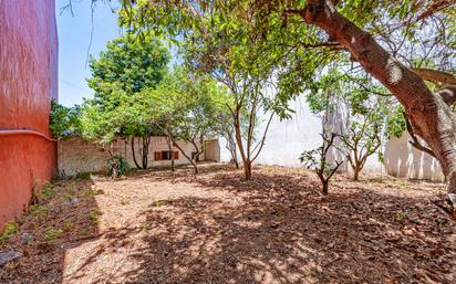 Garden of House or chalet for sale in Teror