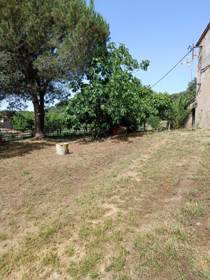 Finca rústica en venta en Sant Celoni