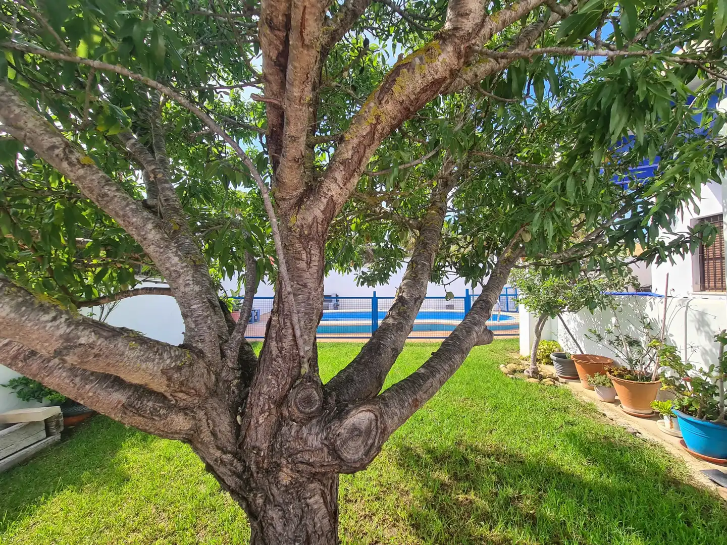 Garden of Houses for rent in Conil de la Frontera  with Air Conditioner, Private garden and Terrace