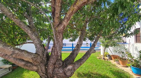 Photo 3 of Houses for rent in Carril del Palillero, 638, Conil, Conil de la Frontera