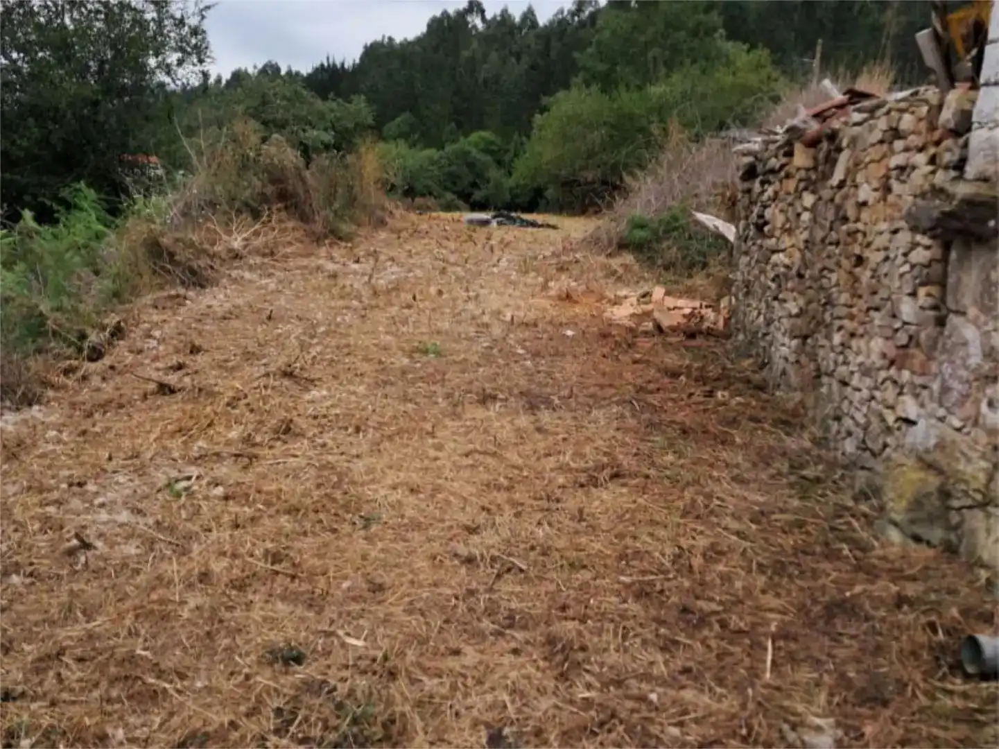 Planta baja en venta en Pravia