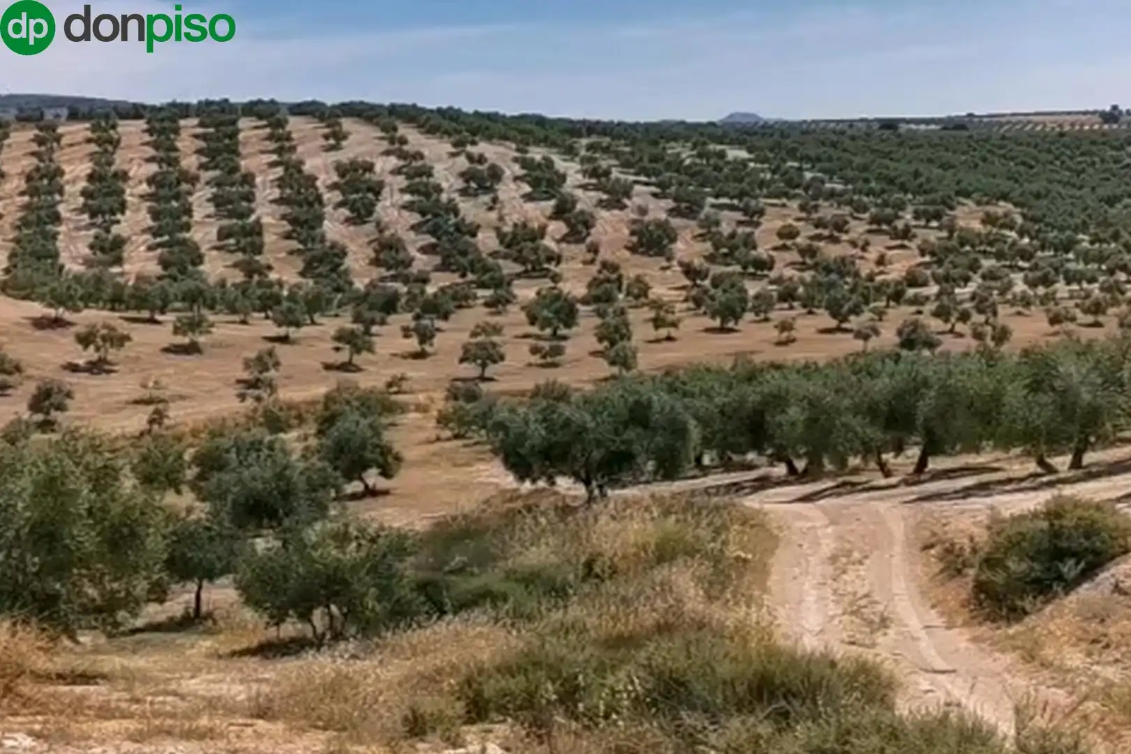 Terreni e lotti in vendita a LLANO SALVIAR Polígono: 13, Parcela: 209 y 277, imagen 5