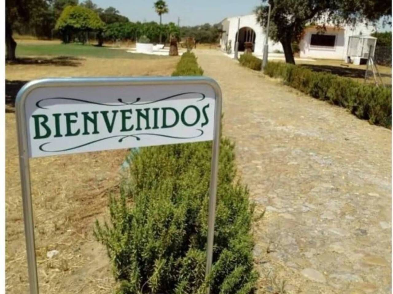 Vista exterior de Finca rústica en venta en Badajoz Capital