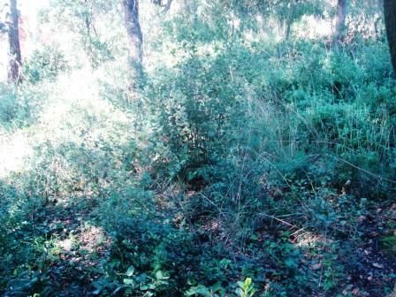 Residential for sale in Santa Maria de Palautordera