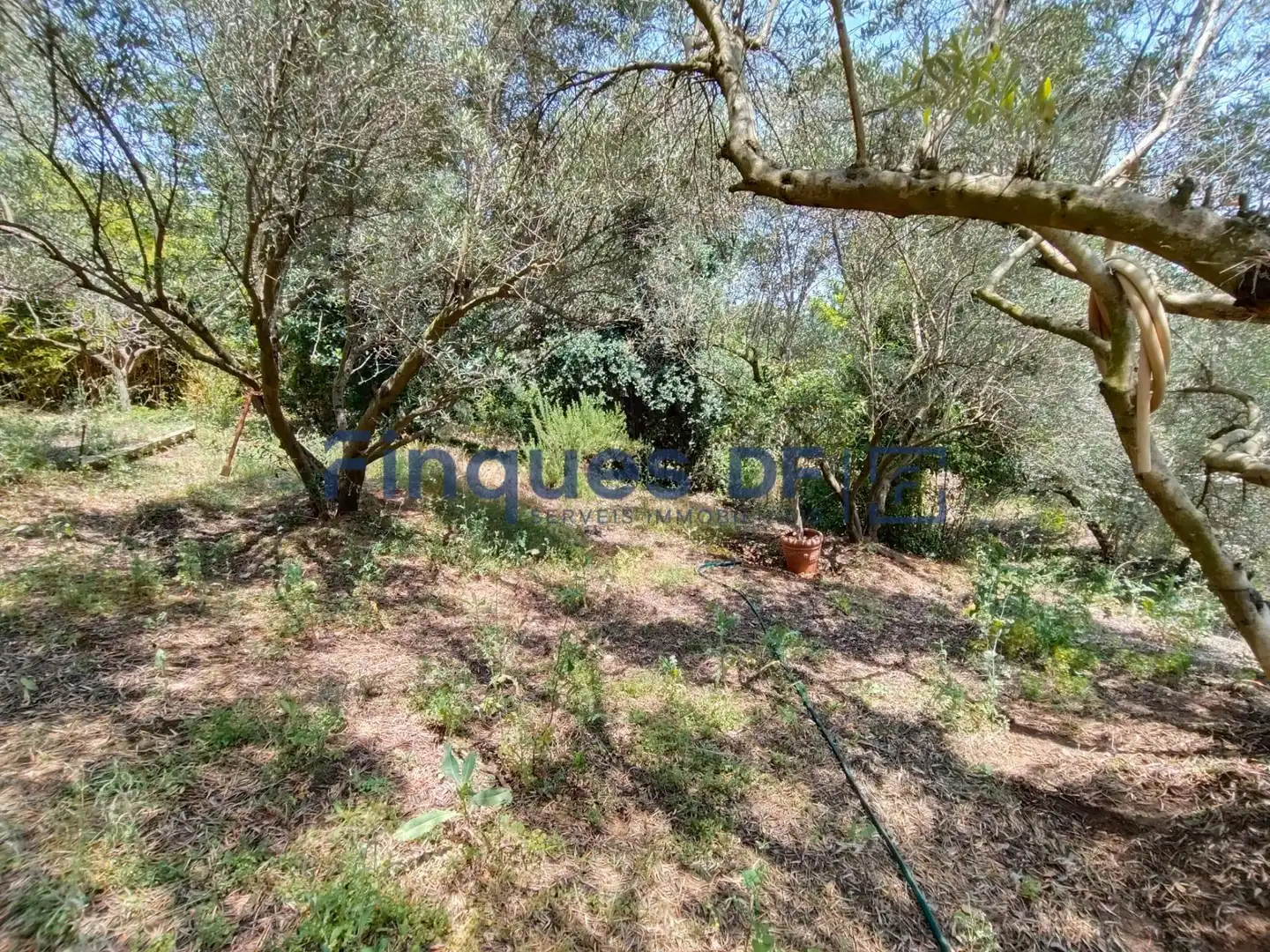 Terrenos y solares en venta en Riudarenes, imagen 10
