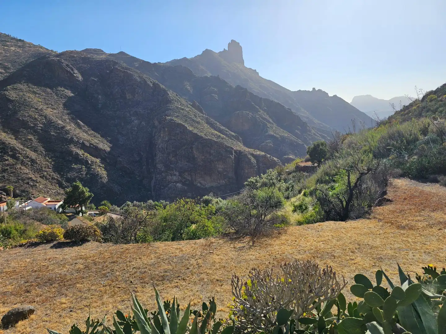 Vista exterior de Finca rústica en venta en Tejeda