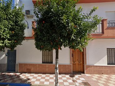 Appartamento in vendita a Avenida Andalucía