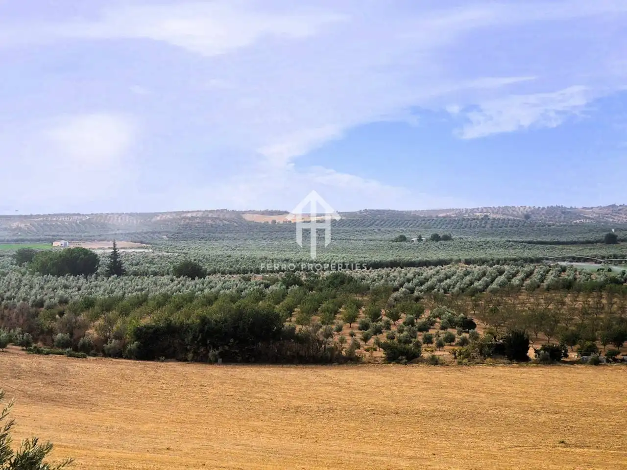 Rural land for sale in Moraleda de Zafayona, imagen 4