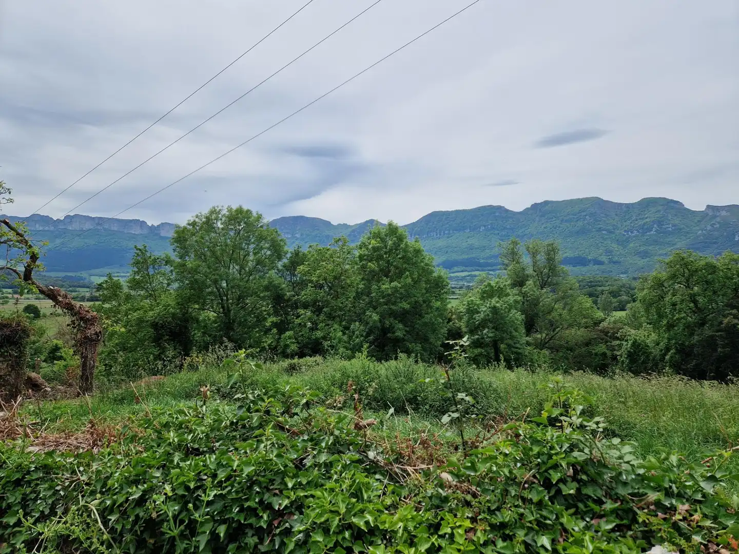 Finca rústica en venda en Valle de Mena amb Jardí privat
