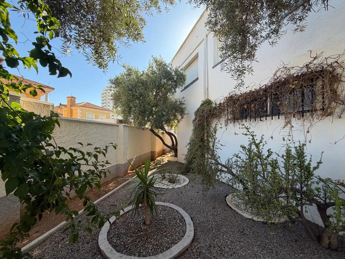 Jardí de Casa o xalet en venda en El Ejido amb Aire condicionat, Jardí privat i Traster