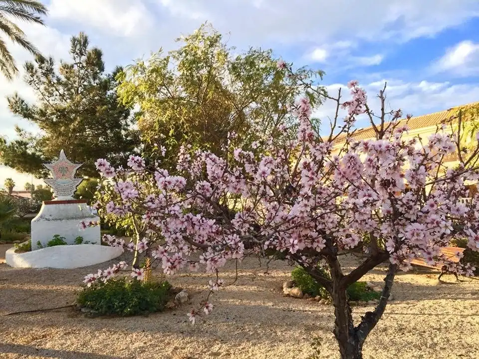 Jardí de Casa o xalet en venda en Cartagena amb Aire condicionat, Jardí privat i Terrassa