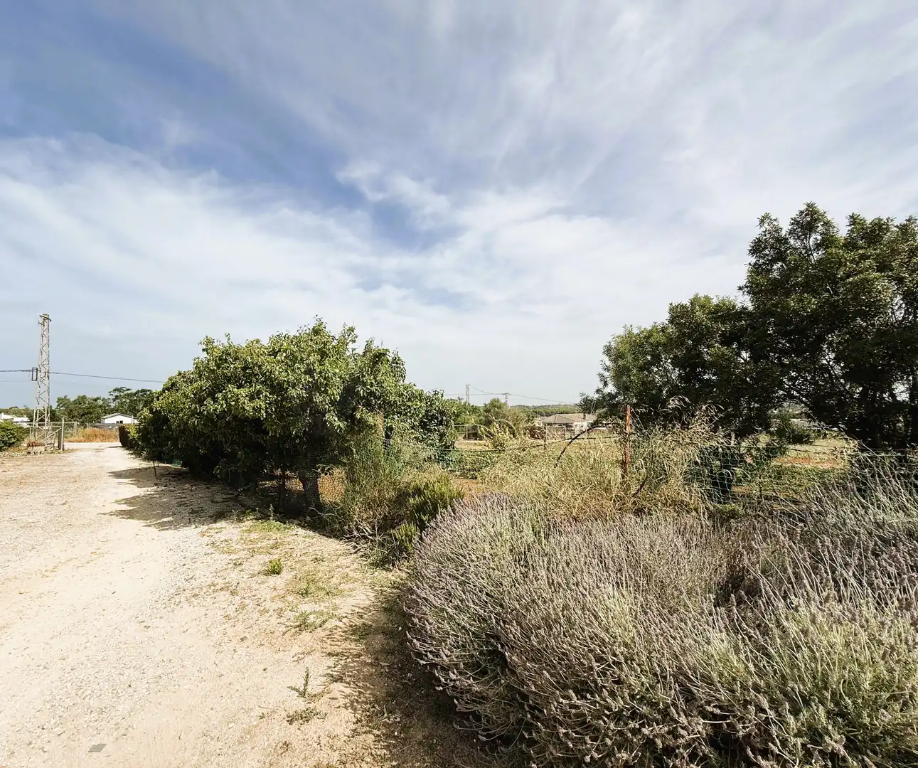 Terreni e lotti in vendita a DS PAGO MELILLA 657 Suelo Polígono 16 Parcela 657, imagen 6