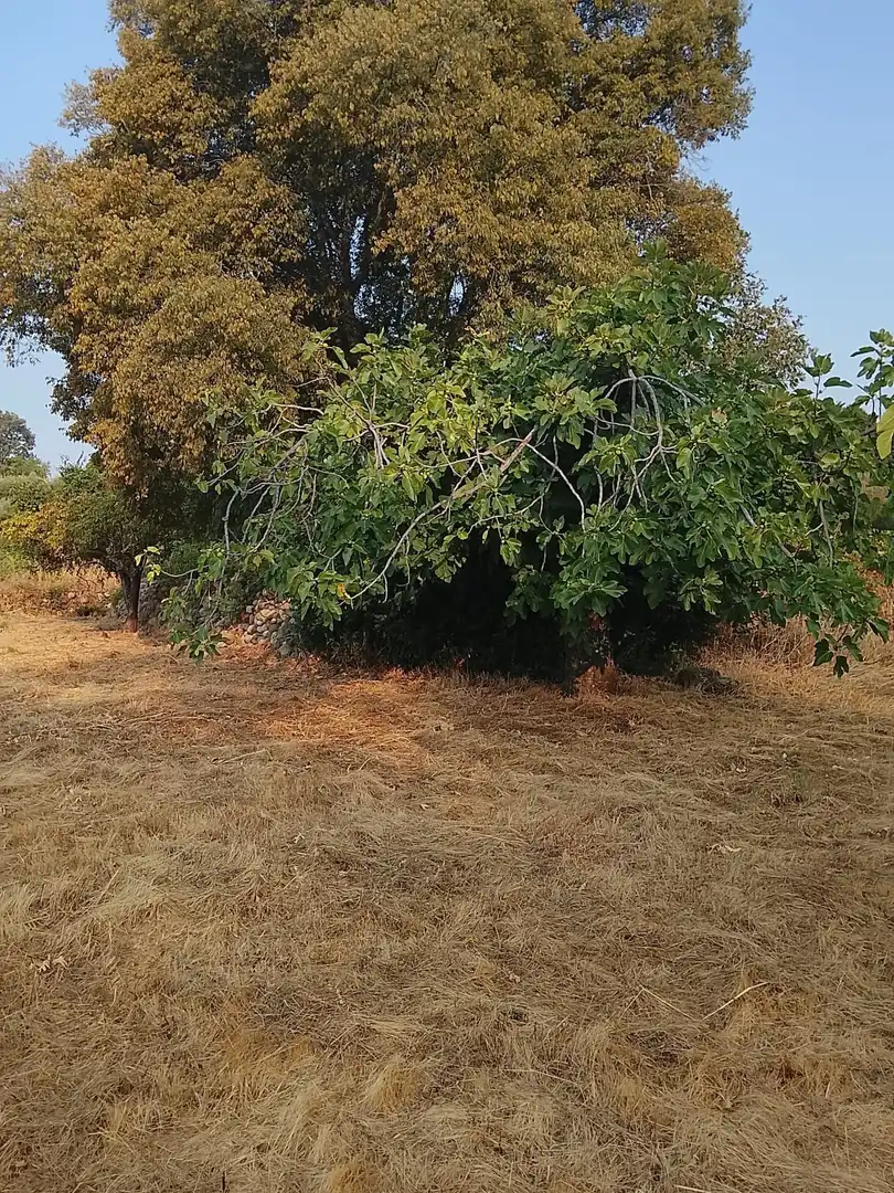 Terreni e lotti in vendita a Villanueva de la Vera, imagen 15
